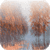 Autumn Rain  Live Wallpaper
