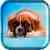 Amazing Puppies Live Wallpaper