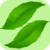 Herbs Secrets
