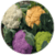 Benefits of Cauliflower