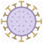 Corona Virus COVID-19