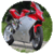Fastest Bikes