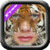 Animal Face Morph