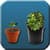 Grow Up Free