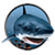 Piranha Shark Attacks