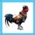 Kids Cock