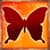 Free Butterfly Photo Crop