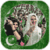 Pakistan Independence Frame