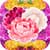 Flowers Stickers Free