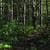 Nature Live Wallpaper 132