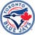 Toronto Blue Jays Fan