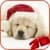 Christmas Puppy Licks Screen Live Wallpaper