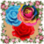 Rose Garden Match 3