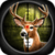 Animal Hunter 3D