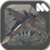 Aircraft Forces Squadron