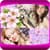 Beautiful Sakura Photo Collage
