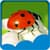 Ladybug Live Wallpapers New