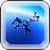 Skydiving Adventures