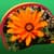 Wildflowers Live Wallpapers