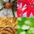 Beautiful Four Seasons Collage
