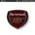 Arsenal Perfect Logo