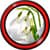 Snowdrops Live Wallpapers