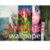 Images of nature high quality and clarity 4K