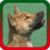 New Dog Singing Ringtones 