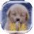 0 笑话集中营