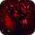 Rose Raining Live Wallpaper