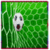 Fastest Goal in World Cup History