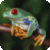 Hot Animals Wallpapers