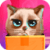 Cats Song
