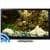 Fish Tank on TV via Chromecast intact