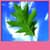 Best Leaves Live Wallpapers