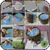 Catalog sweets