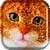 Fluffy Kitten Live Wallpaper