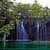 JUNGLE WATERFALL LWP