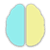 braincards flashcards