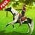 Flying Horse Rider