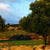 Nature Live Wallpaper 148