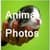 Adorable Animals Gallery