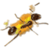 Angry Ant Smasher Bis
