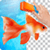 Tijery Remove Background Photo Editor