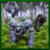 Rock Giant Simulator
