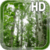 Birch Forest LWP Free