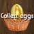 New egg collection 2017  