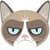 Grumpy Cat Meme Generator