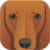 Dog Breeds App Quiz