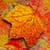 Fall Live Wallpaper 2
